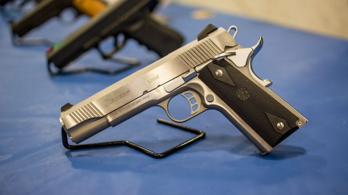 Red Alert: Growing Risk of Political Violence in Israel 1 Gun violence