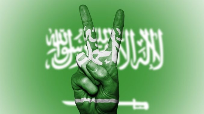 Major Progress in Israeli-Saudi Ties, Journalist Hints 1 Major Progress in Israeli-Saudi Ties, Journalist Hints 1
